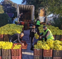 Επανεκκίνηση των αγορών «Χωρίς Μεσάζοντες» από την Κατερίνη